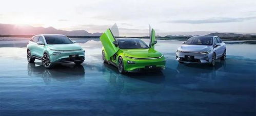 蔚小理 在爭(zhēng)議與贊譽(yù)交織中成長的汽車配件銷售新模式